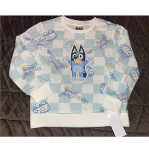 5T Toddler Bluey Sweater